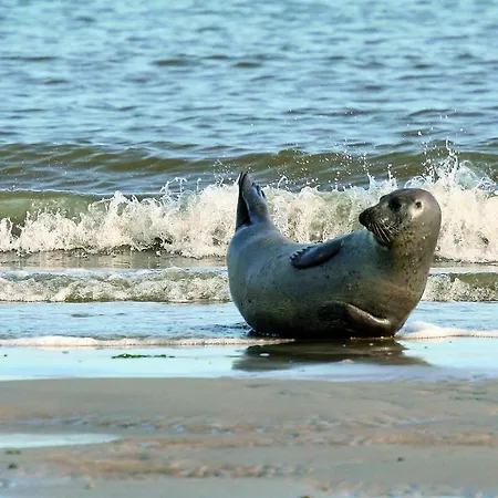 Gud Jard Nr 17 - Design-ferienhaus Mit Exklusiver Ausstattung Pelvorm