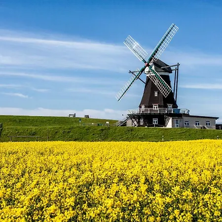 Feriehus Gud Jard Nr 17 - Design-ferienhaus Mit Exklusiver Ausstattung
